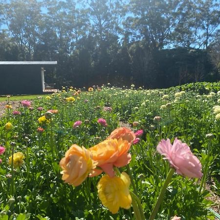 מאונט טאמבורין Flower Farm Tamborine Mountain מראה חיצוני תמונה