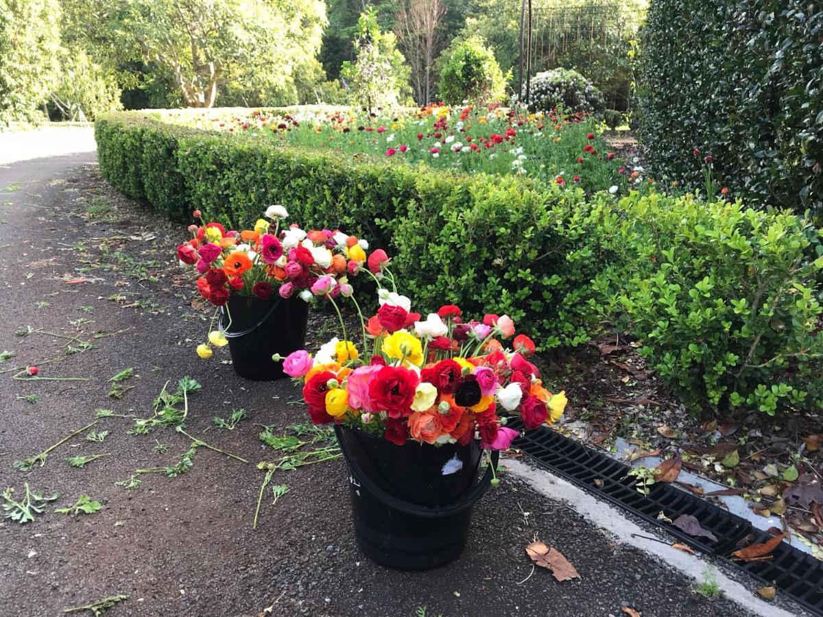 מאונט טאמבורין Flower Farm Tamborine Mountain מראה חיצוני תמונה